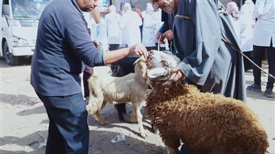 قافلة سكانية شاملة ضمن مبادرة حياة كريمة بأبو حمص في البحيرة