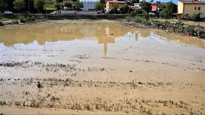 ارتفاع حصيلة ضحايا العاصفة و الانهيار الأرضي في إيطاليا