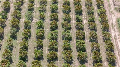  طلب مناقشة عامة عن خطة الحكومة لمواجهة تأثير التغيرات المناخية على الإنتاج الزراعي