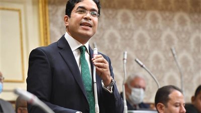  ضياء داوود: لا نقبل أي تدخل في شئوننا.. والبرلمان الأوروبي موصوم بالازدواجية 