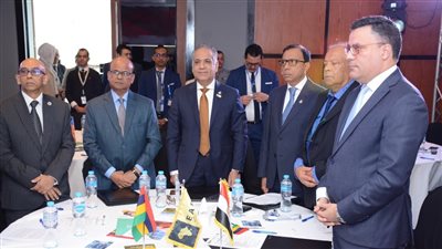  بحضور 12 سفيرا.. المصريون الأفارقة تناقش مع موريشيوس سبل التعاون الاقتصادي
