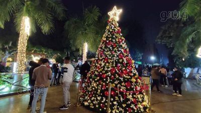 أسعار شجر الكريسماس مع اقتراب رأس السنة 