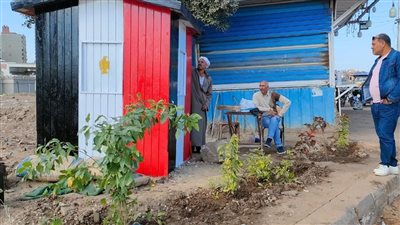 ضمن اتحضر للأخضر..زراعة 700 شجرة مثمرة في الدقهلية | صور 