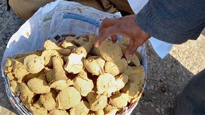 كبسولة الطاقة للصعايدة.. أسرار ومراحل صناعة الجلاب القناوي|فيديو