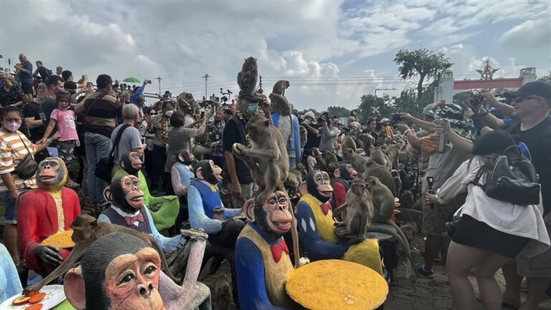 مهرجان القرود