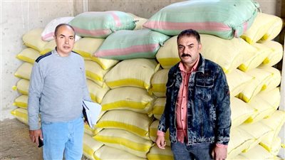 ضبط 69 طن أرز شعير قبل بيعها في السوق السوداء بالدقهلية