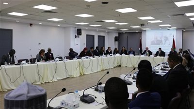 في القاهرة.. المالكي يطلع السفراء غير المقيمين لدى فلسطين على جرائم الاحتلال 