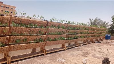 اقتراح برلماني لتوعية المواطنين بأهمية عزل الأسطح لحماية الثروة العقارية