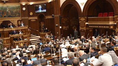 رفع جلسة الشيوخ.. والعودة للانعقاد 11 ديسمبر