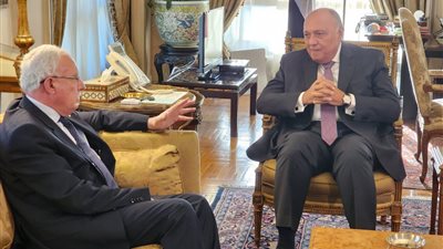 سامح شكري يستقبل نظيره الفلسطيني رياض المالكي