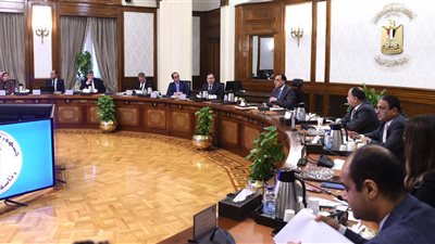 مدبولي يبحث إجراءات توفير التمويل اللازم لاستيراد المنتجات البترولية