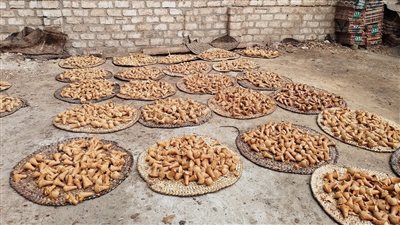 القناوية أشهر قرية لصناعة الجلاب بقنا.. يومية الصنايعية وصلت 200 جنيه.. وقمع الجلاب بجنيه ونص lفيديو وصور