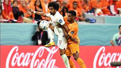 كأس العالم 2002.. هولندا تفوز على قطر 0/2 وتتأهل لدور الـ16|فيديو وصور