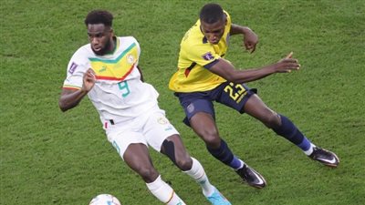  تأهل هولندا والسنغال.. جدول ترتيب المجموعة الأولى في كأس العالم 