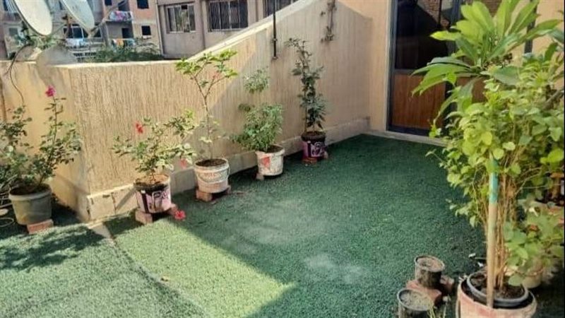 مراكز الشباب بالقليوبية