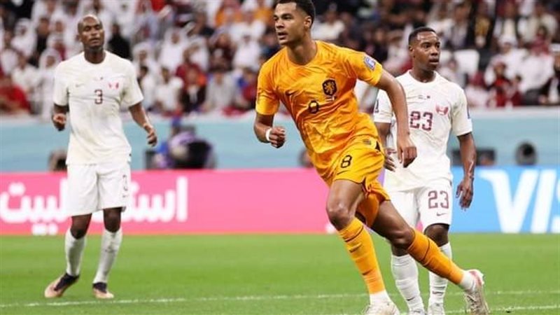 هولندا وقطر