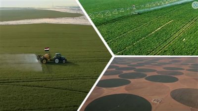  رغم النجاحات الكبرى، لماذا يطالب النواب بالتوسع في الإنتاج الزراعي 