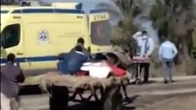 إصابة شخصين في تصادم دراجة بخارية بعربة كارو بسوهاج 