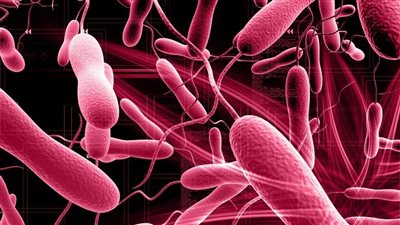 الصحة السورية: استلمنا مليوني جرعة ضد الكوليرا