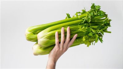 أبرز فوائد الكرفس.. يحارب السرطان وحصوات الكلى ومسكن طبيعي