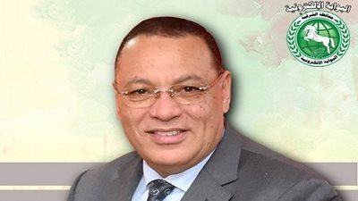 تموين الشرقية: تحرير 17 محضرا بمراكز المحافظة 