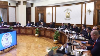 تنفيذا لتوجيهات الرئيس.. مدبولي يصدر قرارًا بتشكيل اللجنة الخاصة بإصدار الرخصة الذهبية