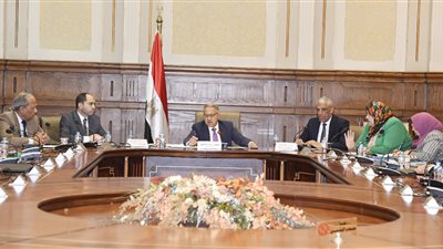 محلية النواب تطالب بقاعدة بيانات عن محطات شبكات الاتصالات في مصر 