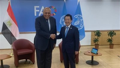 في مستهل زيارته إلى روما.. وزير الخارجية يلتقي مدير 