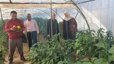 زراعة الإسماعيلية تكثف المرور على الزراعات المحمية وفحص تراخيص الصوب | صور