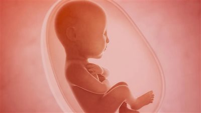 في دراسة الأولى من نوعها.. تلوث الهواء يؤدي لولادة مليون جنين ميت سنويا 