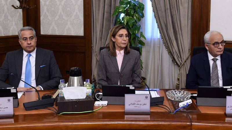 وزيرة الثقافة في