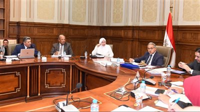  التنمية المحلية تكشف جهود إعادة هيكلة هيئة النظافة والتجميل