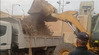 حملات للنظافة بالوحدات المحلية لمركز ومدينة أبوصوير بالإسماعيلية | صور