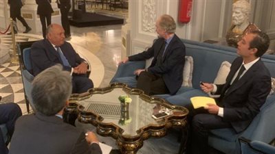  سامح شكري يؤكد ضرورة الحل السياسي للأزمة السورية