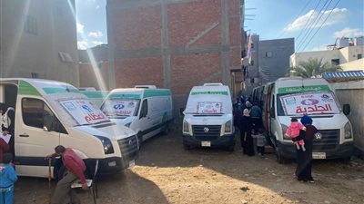 تنفيذ قافة طبية بقرية الركابية قدمت خدمات علاجية بالمجان لـ ١٧٩٨مواطنا | صور