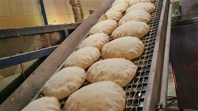 التحفظ على 17 طن دقيق وضبط مخابز مخالفة فى حملة تموينية بالدقهلية