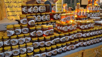 تعرف على أسعار معروضات المهرجان الدولي للزيتون بحديقة الأورمان|صور 