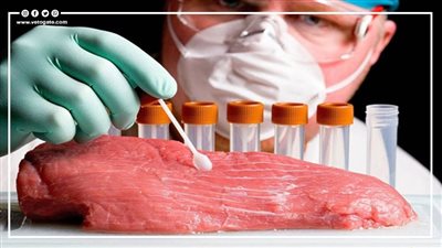 نسخة من الطبيعية.. الأسواق الأوروبية على موعد مع اللحوم المصنعة معمليًا | فيديو جراف