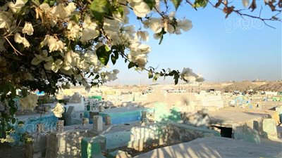 دفن بها 5000 صحابي.. البهنسا في المنيا قبلة الأقباط والمسلمين | فيديو