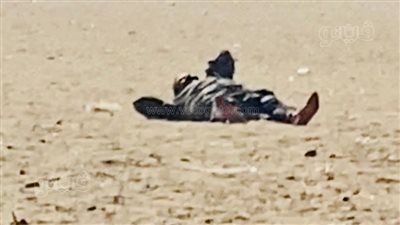 للإنجاب والزواج وفك الكرب.. نساء ورجال يتدحرجون على رمال مقابر الصحابة بالمنيا | فيديو