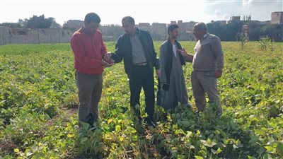 جامعة مدينة السادات تطلق قافلة بيطرية وزراعية بقرية دمليج