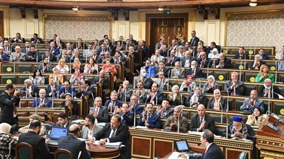 برلماني: محافظ المنيا طارد للمستثمرين، 220 مصنعا متوقفا