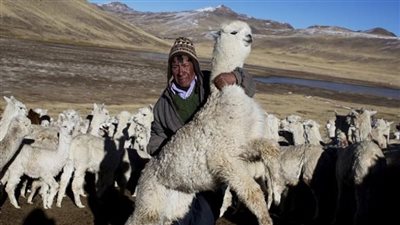 الأقسى منذ 58 عاما.. الجفاف يقضي على 