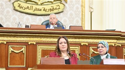 نائب يطالب الحكومة بحل أزمة نقص الزيت البترولي وارتفاع أسعاره 