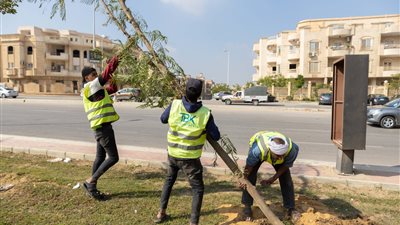 شركة TBK تتولى تطوير أعمال التشجير بـ4 محاور رئيسية بالتجمع 