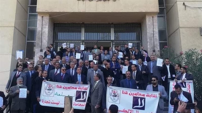 محامين قنا،فيتو 