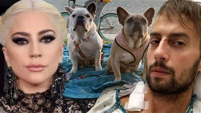 21 عاما سجنا لسارق كلاب ليدي جاجا