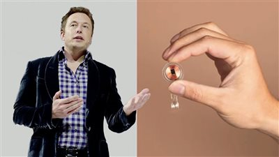 شركة ماسك الطبية تواجه تحقيقا بسبب تجارب على حيوانات