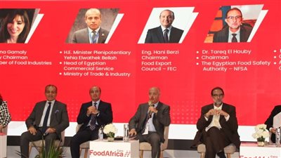 التصديري للصناعات الغذائية يطالب باستراتيجية واضحة للقطاع 