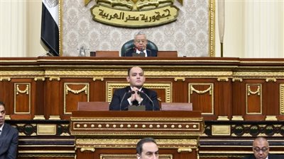 سعر الدولار، برلمانية تطالب بخطة للتعامل مع التعويم المتوقع 